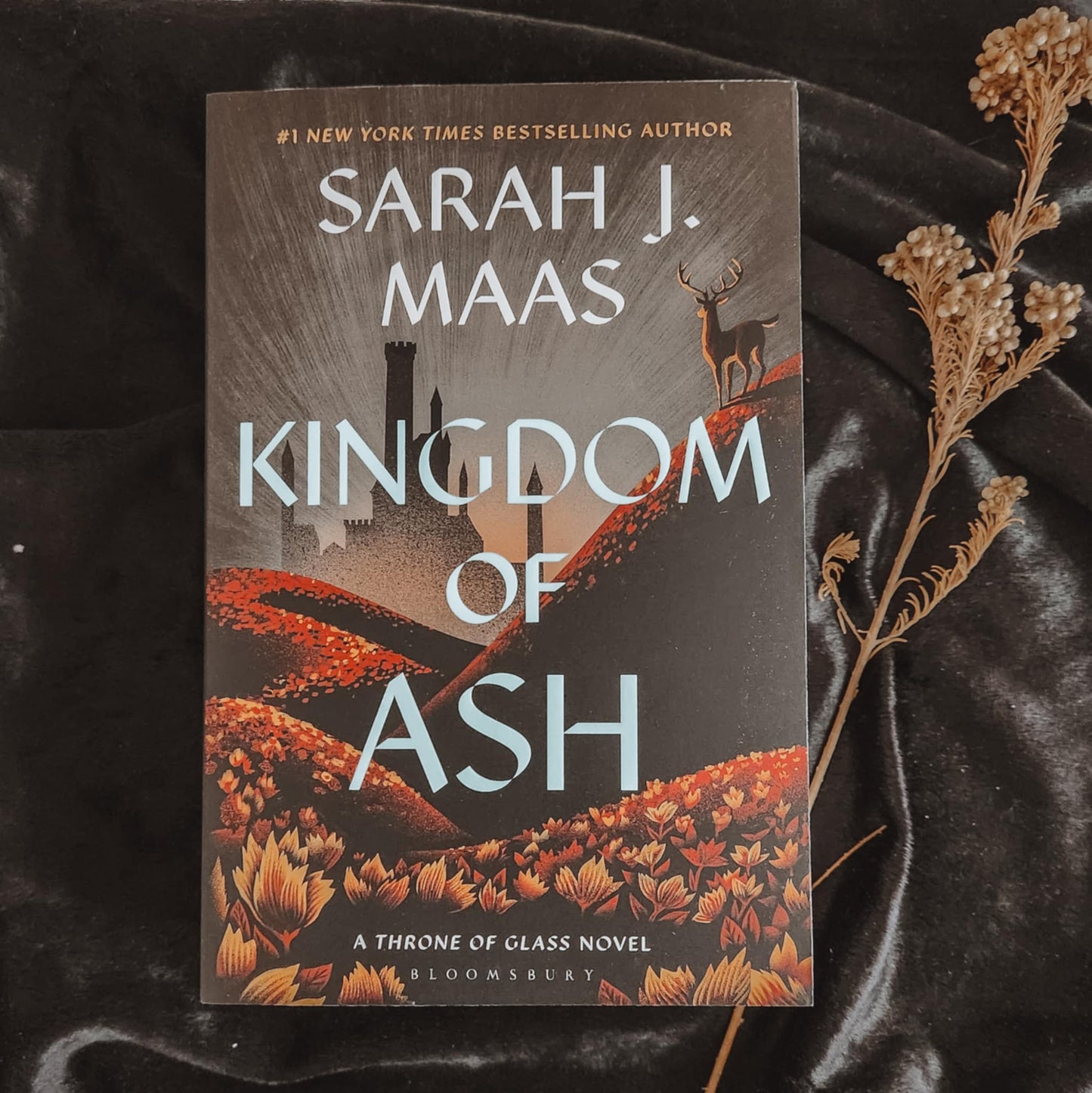 Kingdom Of Ash