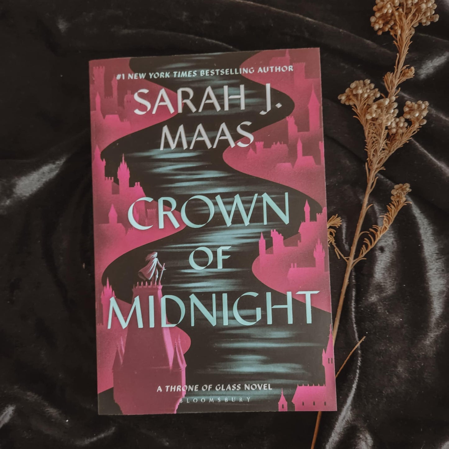 Crown Of Midnight