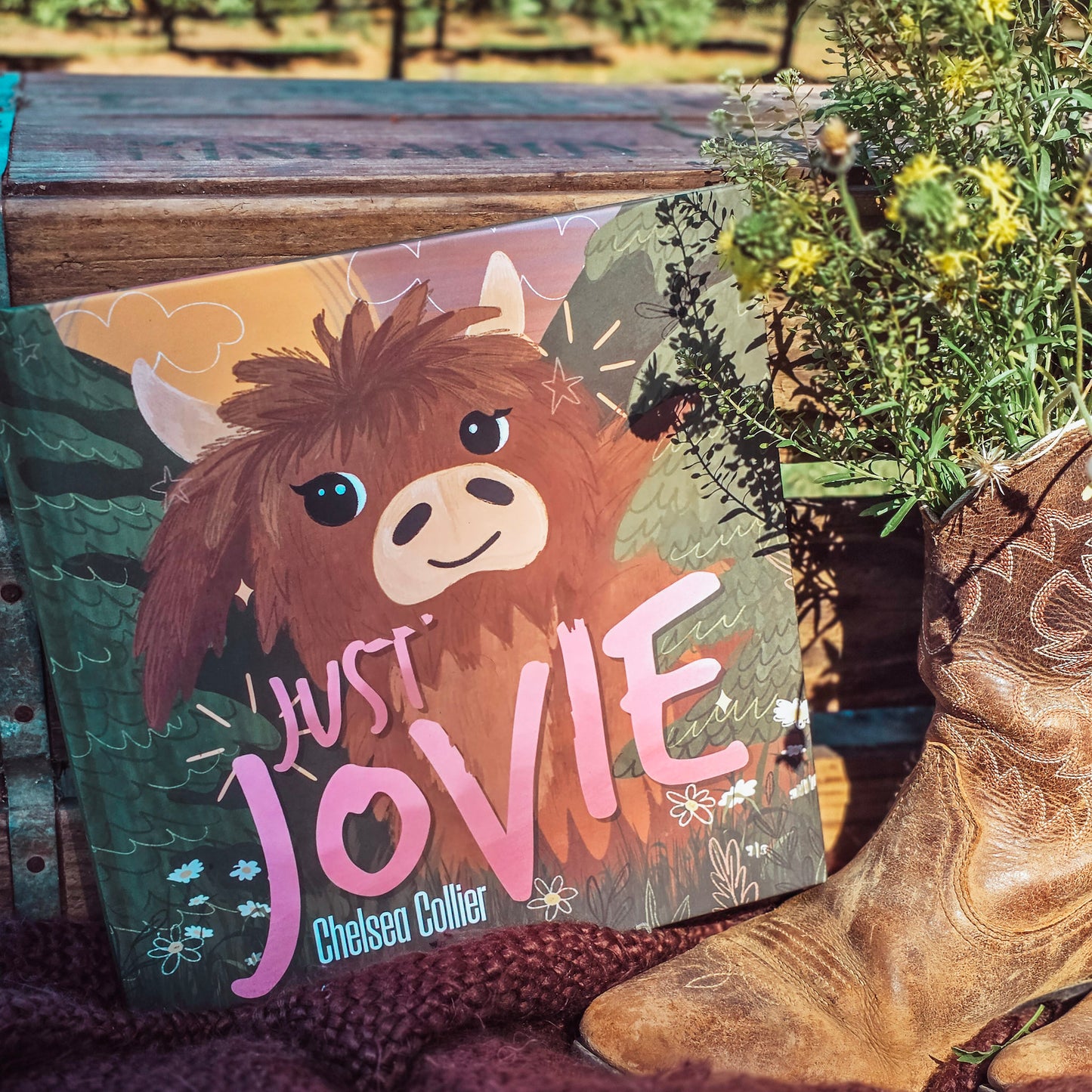 Just Jovie